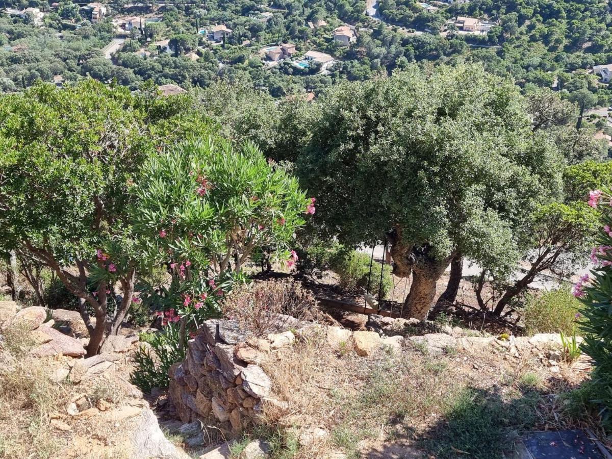 Holiday Home Les Terrasses De L'Eau Blanche-4 By Interhome Cavalaire-sur-Mer Luaran gambar